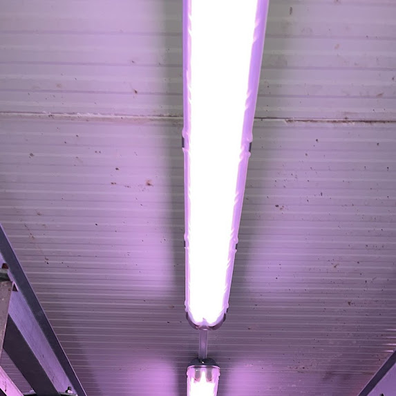 TRAKYA ET – MEGA CENTER ELEKTRİK PROJESİ